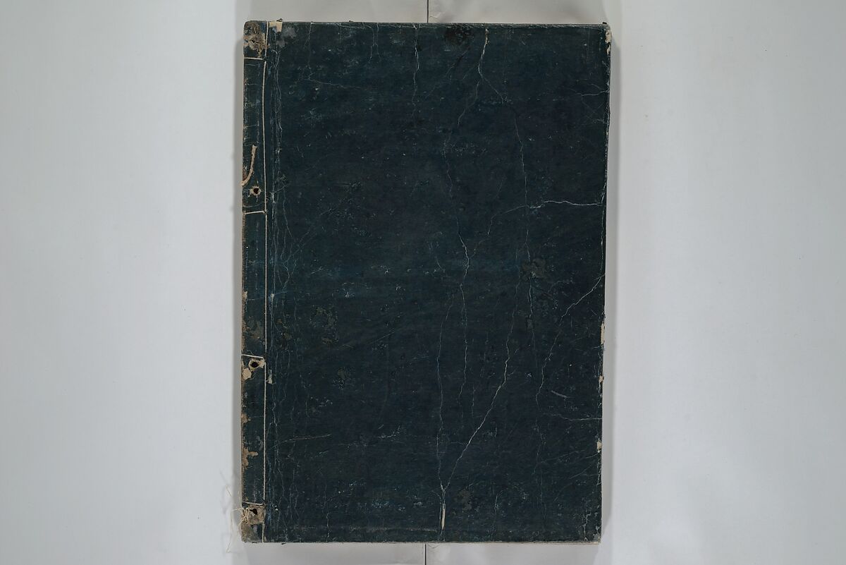 A Garden of Celebrated Japanese and Chinese Paintings (Wakan meigaen} 和漢名画苑, Ooka Shunboku 大岡春卜 (1680–1763), Set of six woodblock-printed books bound as one, with additional volume; ink on paper, Japan