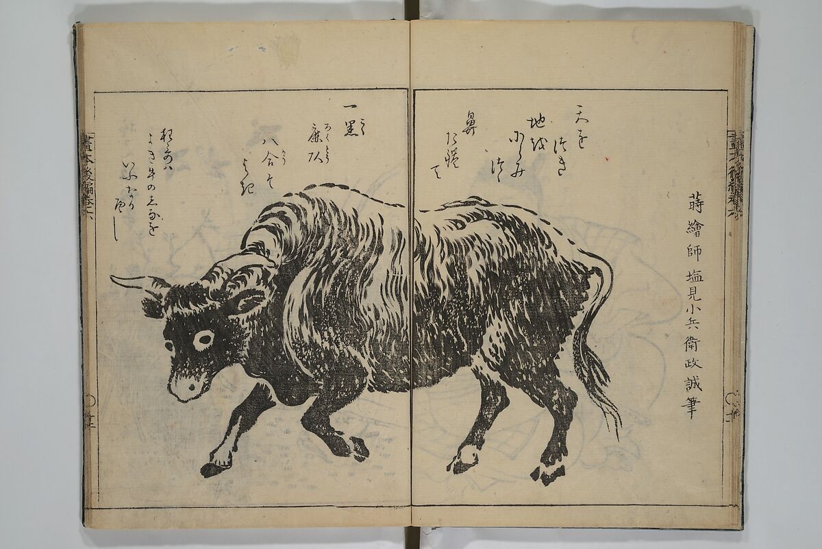 A Garden of Celebrated Japanese and Chinese Paintings (Wakan meigaen} 和漢名画苑, Ooka Shunboku 大岡春卜 (1680–1763), Set of six woodblock-printed books bound as one, with additional volume; ink on paper, Japan