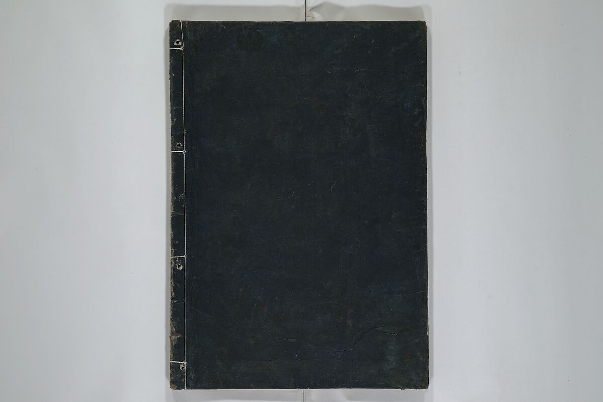 A Garden of Celebrated Japanese and Chinese Paintings (Wakan meigaen} 和漢名画苑, Ooka Shunboku 大岡春卜 (1680–1763), Set of six woodblock-printed books bound as one, with additional volume; ink on paper, Japan