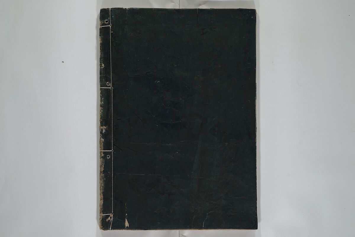 A Garden of Celebrated Japanese and Chinese Paintings (Wakan meigaen} 和漢名画苑, Ooka Shunboku 大岡春卜 (1680–1763), Set of six woodblock-printed books bound as one, with additional volume; ink on paper, Japan