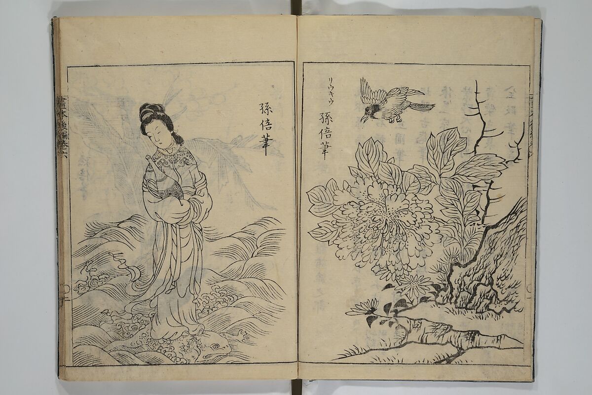 A Garden of Celebrated Japanese and Chinese Paintings (Wakan meigaen} 和漢名画苑, Ooka Shunboku 大岡春卜 (1680–1763), Set of six woodblock-printed books bound as one, with additional volume; ink on paper, Japan
