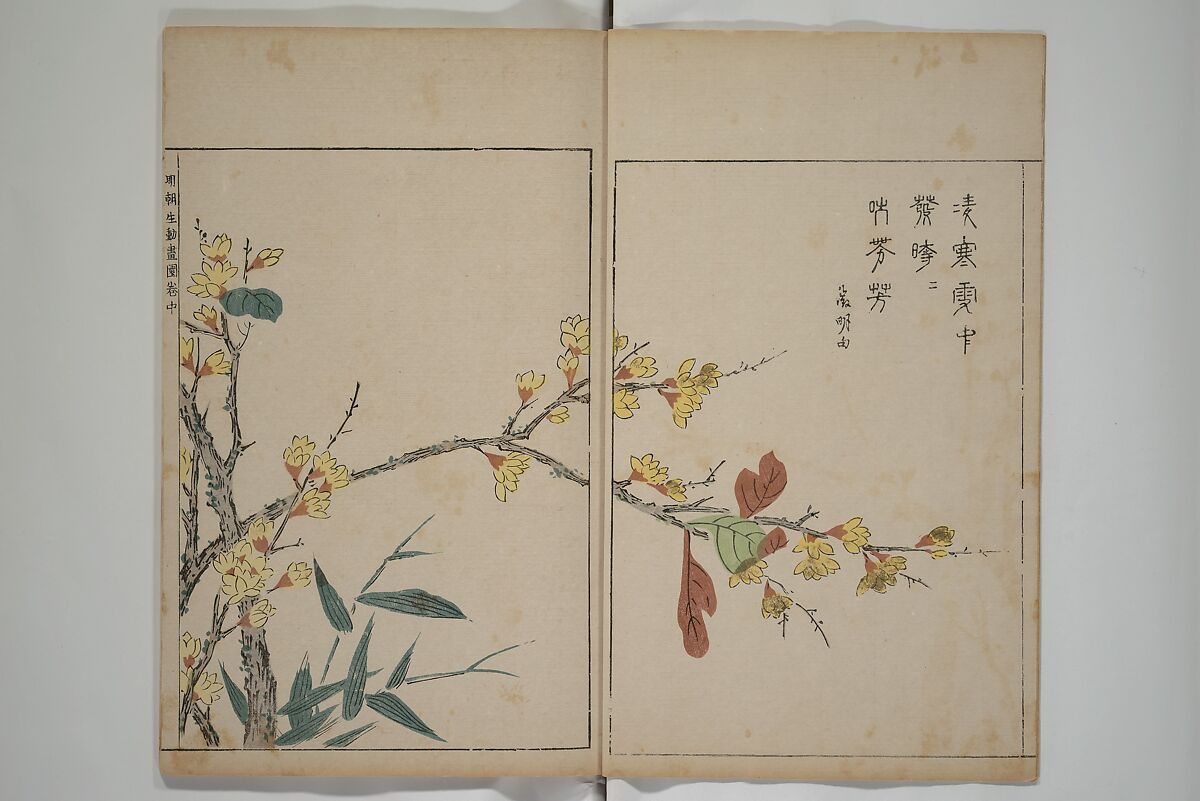 A Collection of Lively Sketches [Of Flowers and Insects] of the Ming Dynasty (Minchō shiken) 明朝紫硯, Ooka Shunboku 大岡春卜 (1680–1763), Set of three woodblock printed books; ink and color on paper, Japan