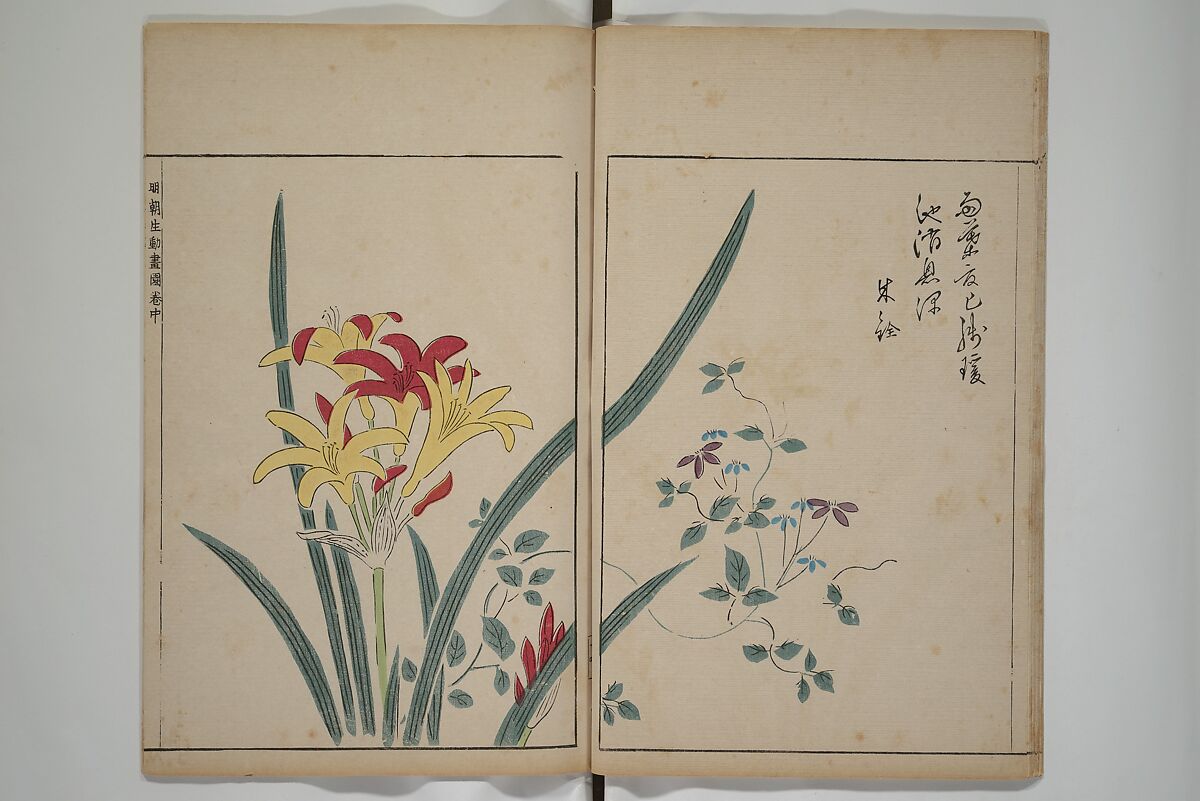 A Collection of Lively Sketches [Of Flowers and Insects] of the Ming Dynasty (Minchō shiken) 明朝紫硯, Ooka Shunboku 大岡春卜 (1680–1763), Set of three woodblock printed books; ink and color on paper, Japan