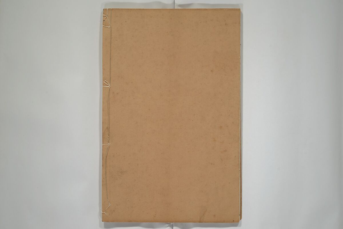 A Collection of Lively Sketches [Of Flowers and Insects] of the Ming Dynasty (Minchō shiken) 明朝紫硯, Ooka Shunboku 大岡春卜 (1680–1763), Set of three woodblock printed books; ink and color on paper, Japan