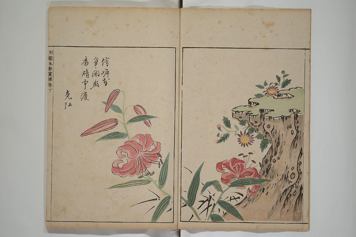 A Collection of Lively Sketches [Of Flowers and Insects] of the Ming Dynasty (Minchō shiken) 明朝紫硯, Ooka Shunboku 大岡春卜 (1680–1763), Set of three woodblock printed books; ink and color on paper, Japan
