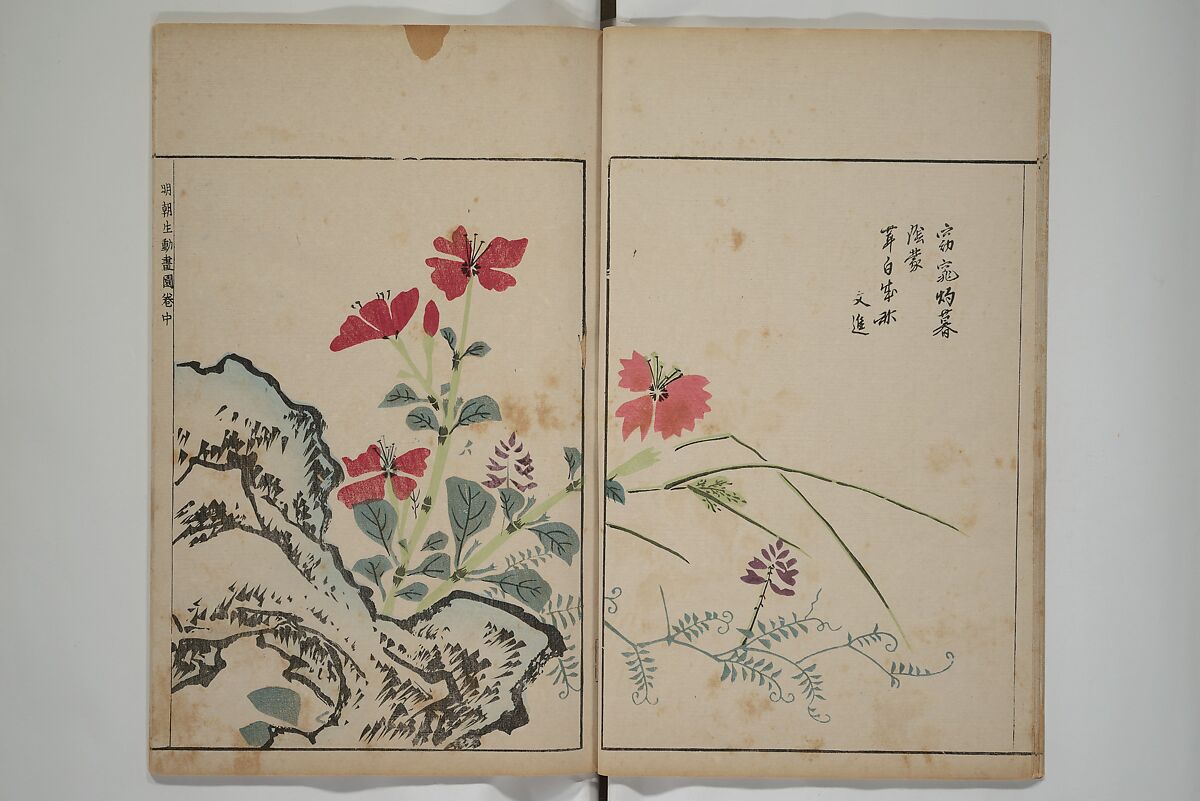 A Collection of Lively Sketches [Of Flowers and Insects] of the Ming Dynasty (Minchō shiken) 明朝紫硯, Ooka Shunboku 大岡春卜 (1680–1763), Set of three woodblock printed books; ink and color on paper, Japan