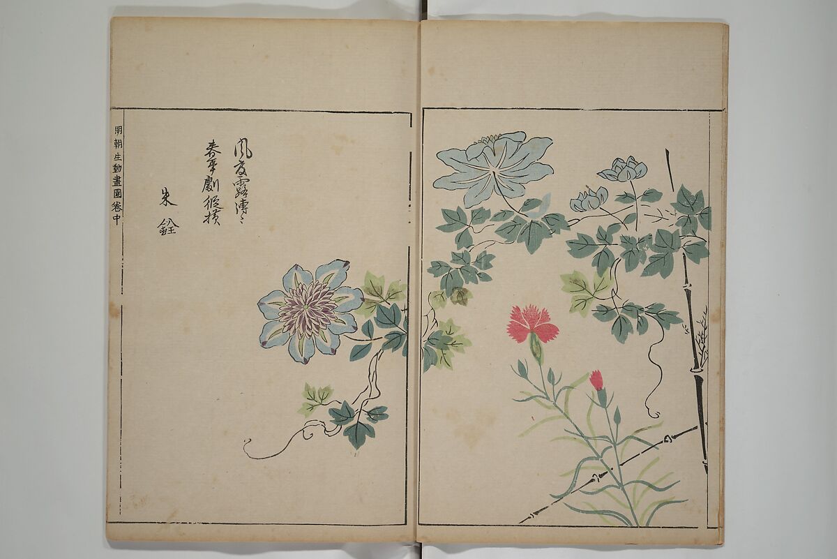 A Collection of Lively Sketches [Of Flowers and Insects] of the Ming Dynasty (Minchō shiken) 明朝紫硯, Ooka Shunboku 大岡春卜 (1680–1763), Set of three woodblock printed books; ink and color on paper, Japan