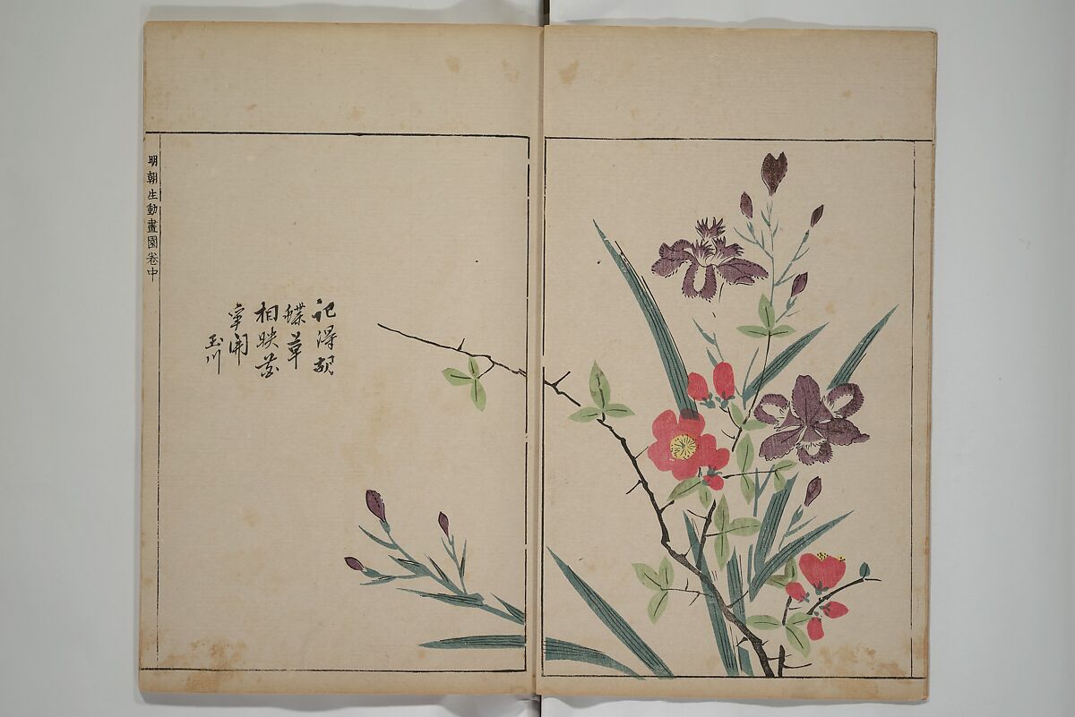 A Collection of Lively Sketches [Of Flowers and Insects] of the Ming Dynasty (Minchō shiken) 明朝紫硯, Ooka Shunboku 大岡春卜 (1680–1763), Set of three woodblock printed books; ink and color on paper, Japan