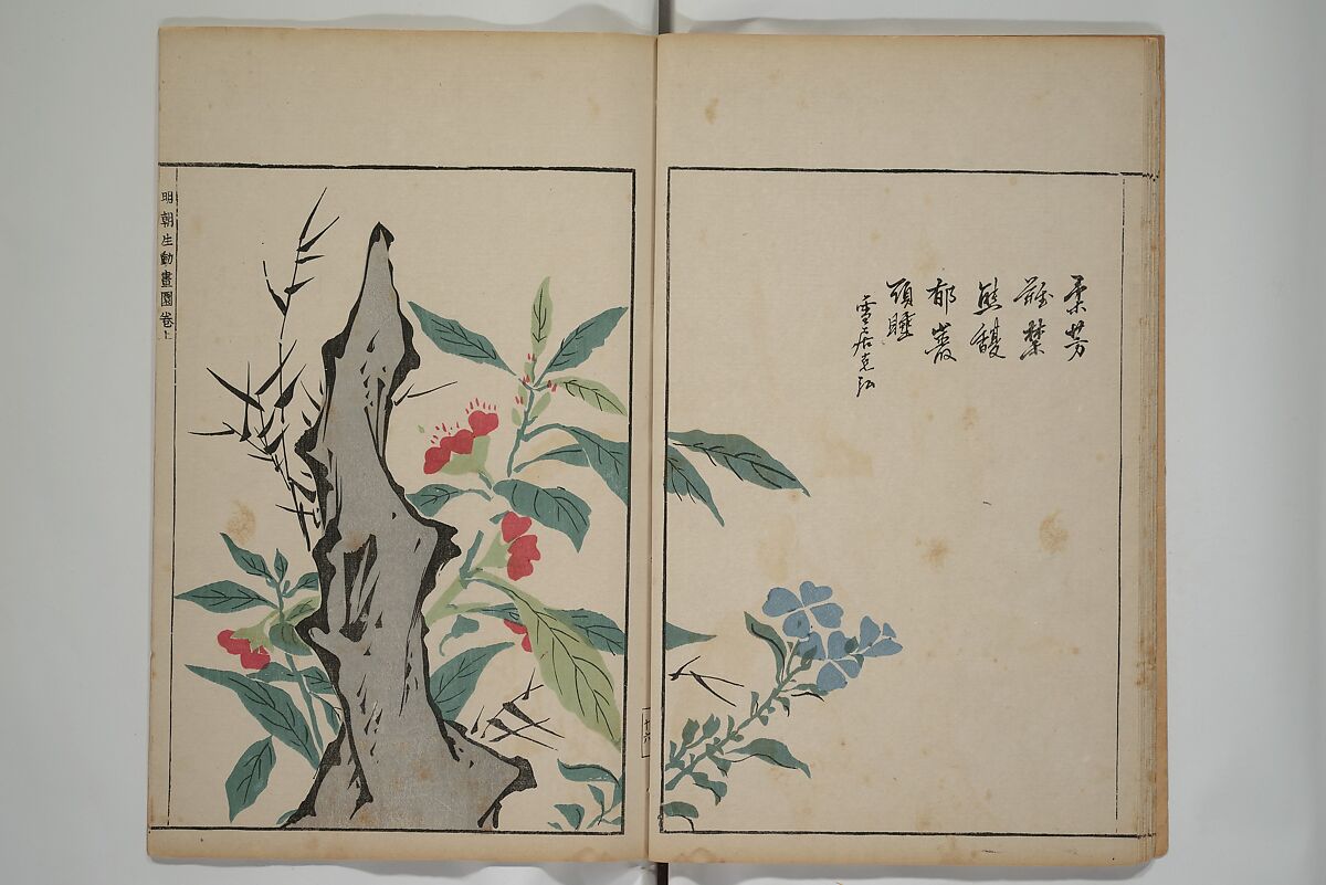A Collection of Lively Sketches [Of Flowers and Insects] of the Ming Dynasty (Minchō shiken) 明朝紫硯, Ooka Shunboku 大岡春卜 (1680–1763), Set of three woodblock printed books; ink and color on paper, Japan