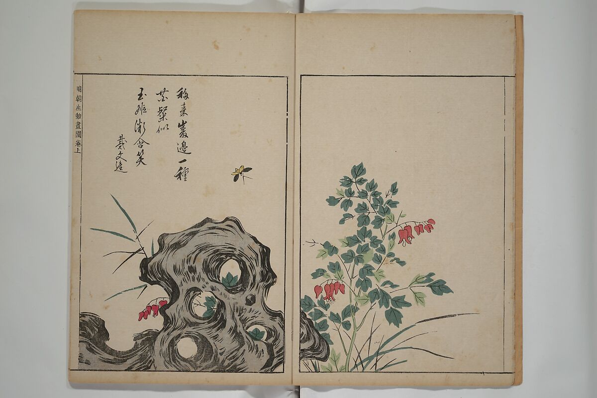 A Collection of Lively Sketches [Of Flowers and Insects] of the Ming Dynasty (Minchō shiken) 明朝紫硯, Ooka Shunboku 大岡春卜 (1680–1763), Set of three woodblock printed books; ink and color on paper, Japan
