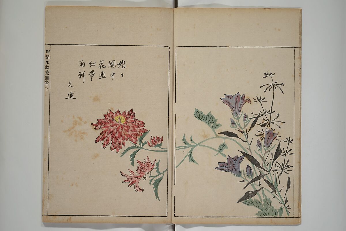 A Collection of Lively Sketches [Of Flowers and Insects] of the Ming Dynasty (Minchō shiken) 明朝紫硯, Ooka Shunboku 大岡春卜 (1680–1763), Set of three woodblock printed books; ink and color on paper, Japan