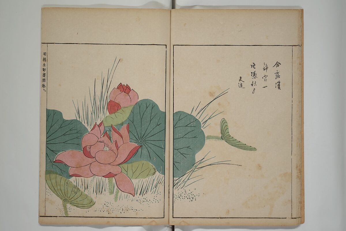 A Collection of Lively Sketches [Of Flowers and Insects] of the Ming Dynasty (Minchō shiken) 明朝紫硯, Ooka Shunboku 大岡春卜 (1680–1763), Set of three woodblock printed books; ink and color on paper, Japan