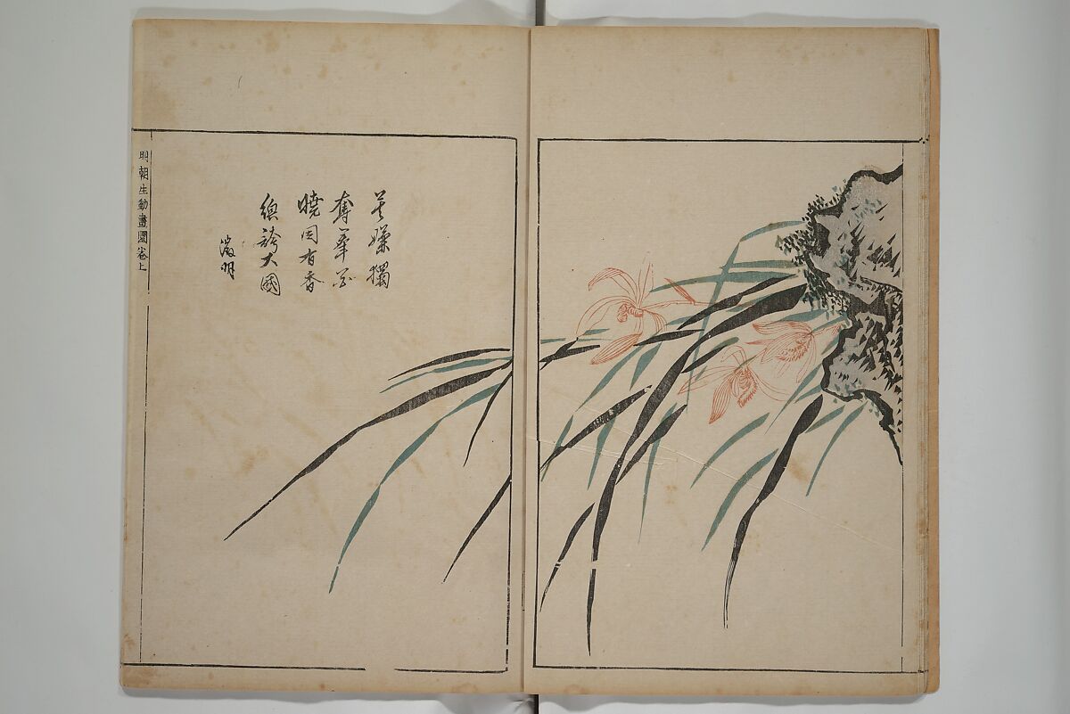 A Collection of Lively Sketches [Of Flowers and Insects] of the Ming Dynasty (Minchō shiken) 明朝紫硯, Ooka Shunboku 大岡春卜 (1680–1763), Set of three woodblock printed books; ink and color on paper, Japan