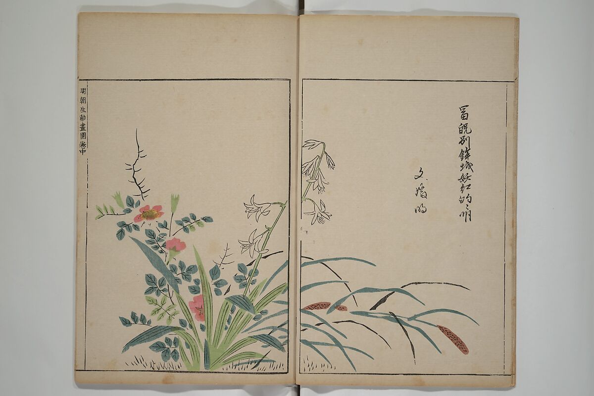 A Collection of Lively Sketches [Of Flowers and Insects] of the Ming Dynasty (Minchō shiken) 明朝紫硯, Ooka Shunboku 大岡春卜 (1680–1763), Set of three woodblock printed books; ink and color on paper, Japan