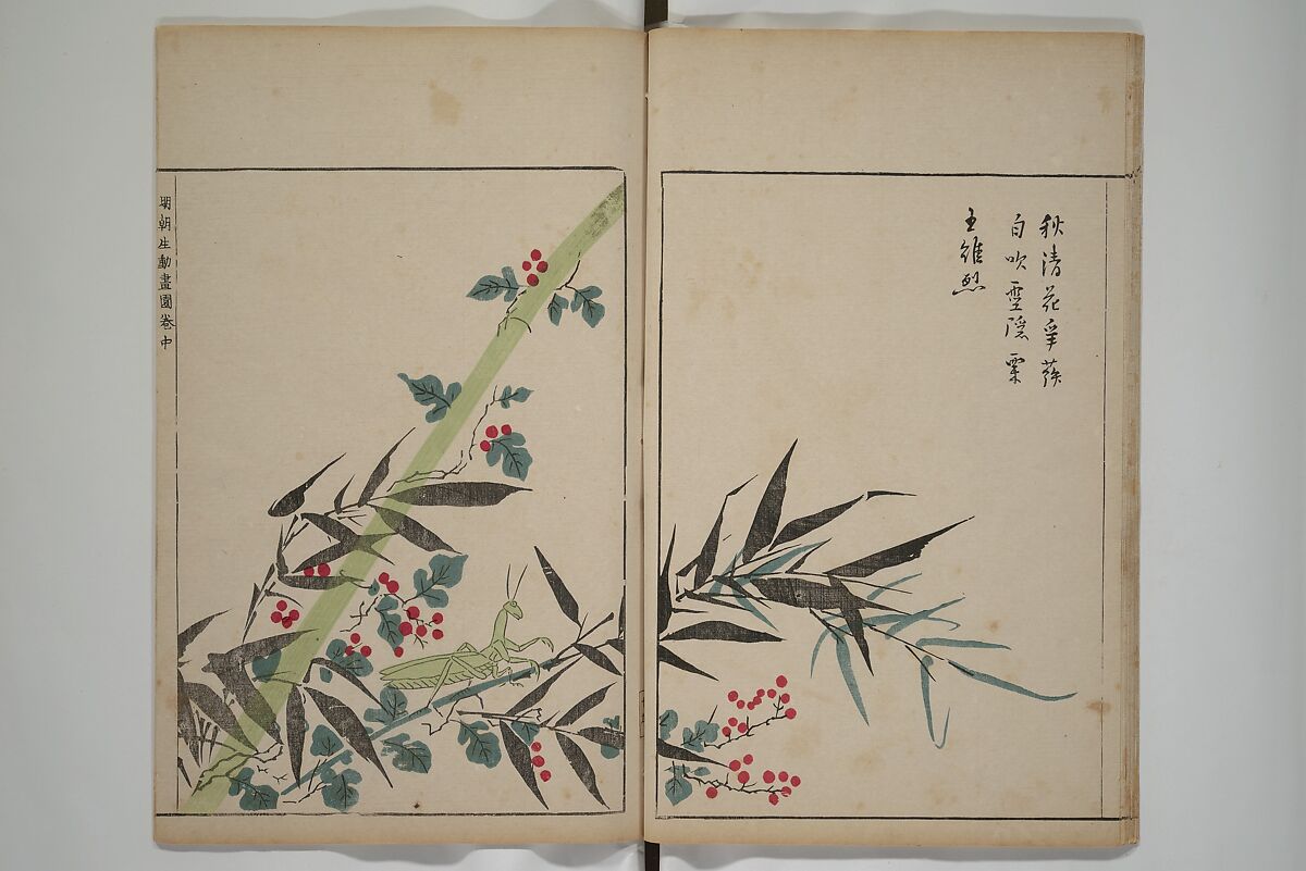 A Collection of Lively Sketches [Of Flowers and Insects] of the Ming Dynasty (Minchō shiken) 明朝紫硯, Ooka Shunboku 大岡春卜 (1680–1763), Set of three woodblock printed books; ink and color on paper, Japan
