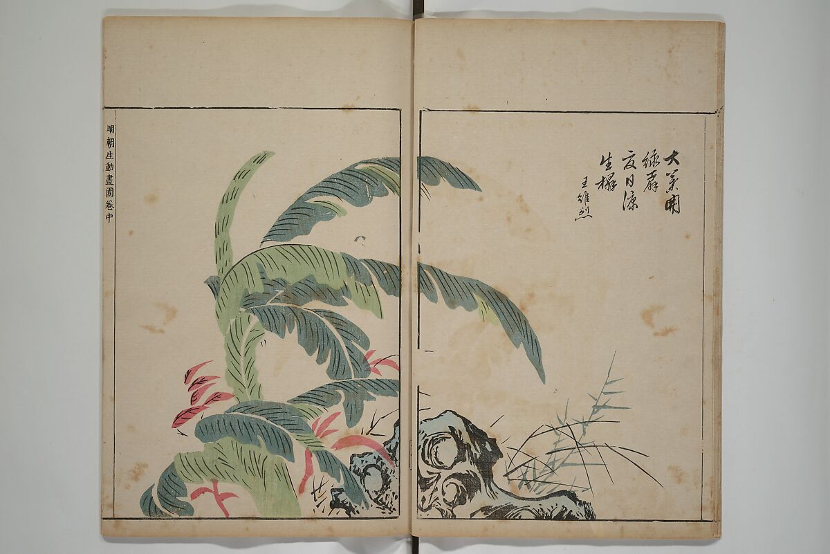 A Collection of Lively Sketches [Of Flowers and Insects] of the Ming Dynasty (Minchō shiken) 明朝紫硯, Ooka Shunboku 大岡春卜 (1680–1763), Set of three woodblock printed books; ink and color on paper, Japan