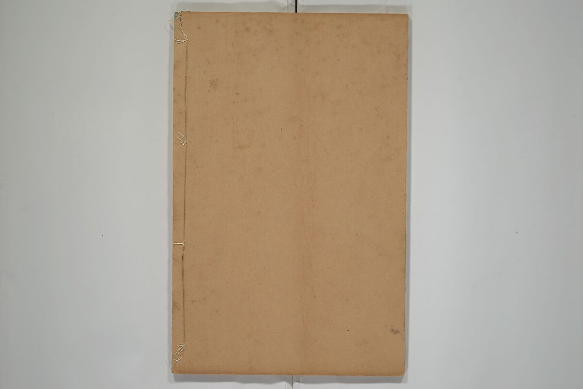 A Collection of Lively Sketches [Of Flowers and Insects] of the Ming Dynasty (Minchō shiken) 明朝紫硯, Ooka Shunboku 大岡春卜 (1680–1763), Set of three woodblock printed books; ink and color on paper, Japan