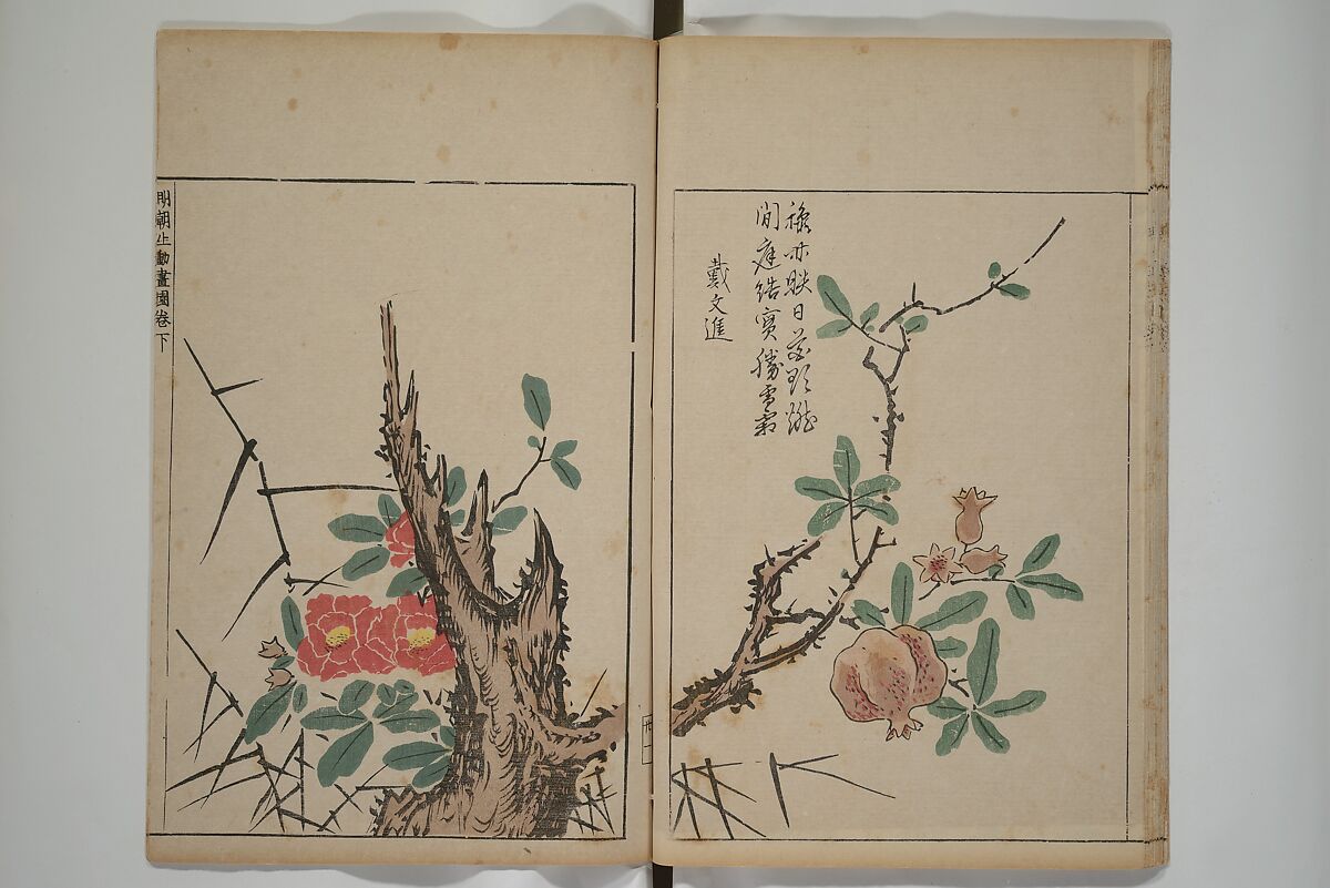 A Collection of Lively Sketches [Of Flowers and Insects] of the Ming Dynasty (Minchō shiken) 明朝紫硯, Ooka Shunboku 大岡春卜 (1680–1763), Set of three woodblock printed books; ink and color on paper, Japan