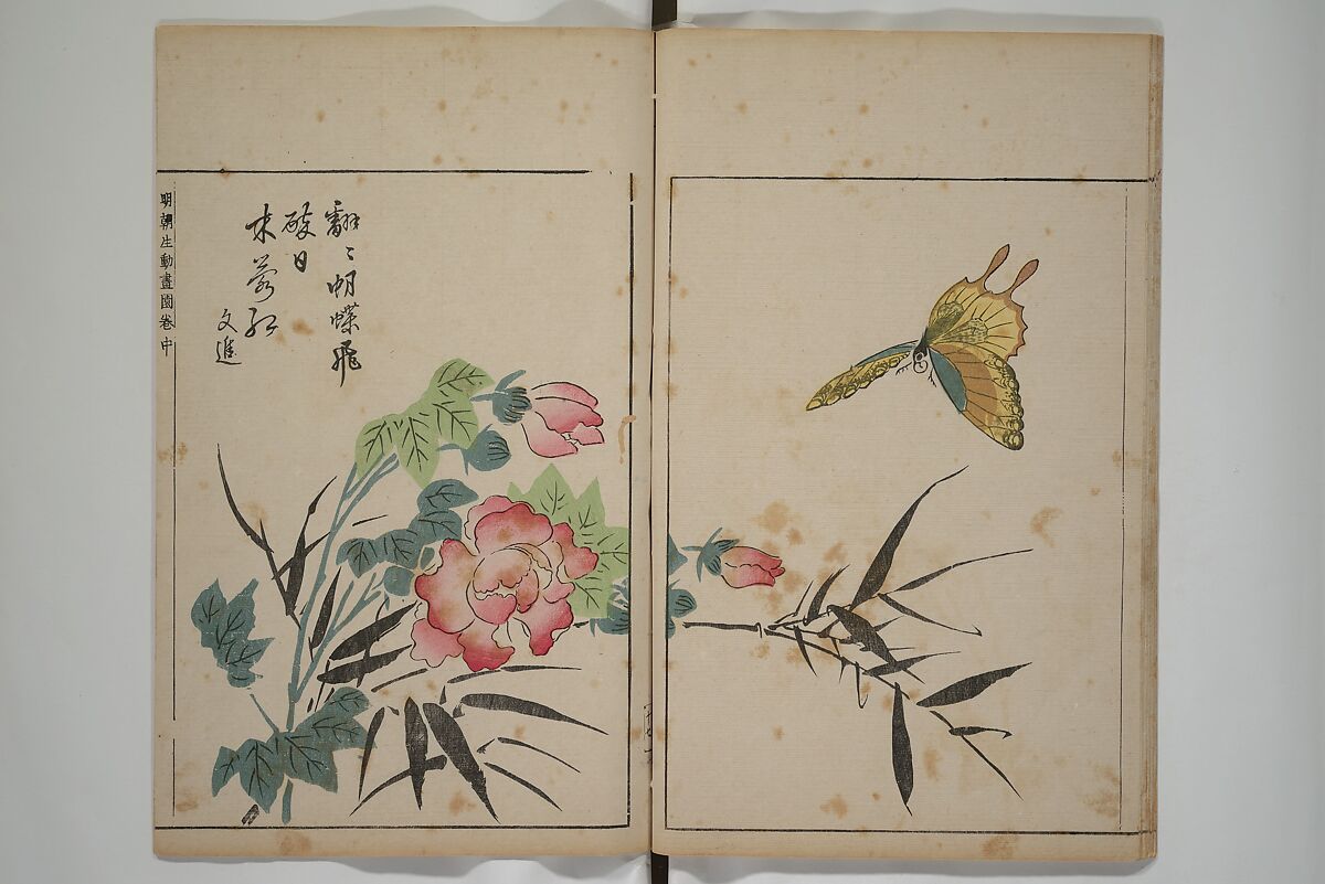 A Collection of Lively Sketches [Of Flowers and Insects] of the Ming Dynasty (Minchō shiken) 明朝紫硯, Ooka Shunboku 大岡春卜 (1680–1763), Set of three woodblock printed books; ink and color on paper, Japan