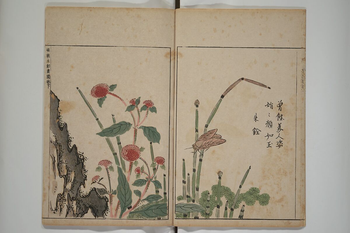 A Collection of Lively Sketches [Of Flowers and Insects] of the Ming Dynasty (Minchō shiken) 明朝紫硯, Ooka Shunboku 大岡春卜 (1680–1763), Set of three woodblock printed books; ink and color on paper, Japan