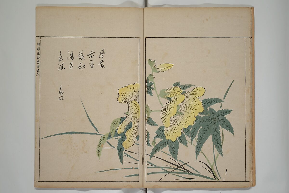 A Collection of Lively Sketches [Of Flowers and Insects] of the Ming Dynasty (Minchō shiken) 明朝紫硯, Ooka Shunboku 大岡春卜 (1680–1763), Set of three woodblock printed books; ink and color on paper, Japan