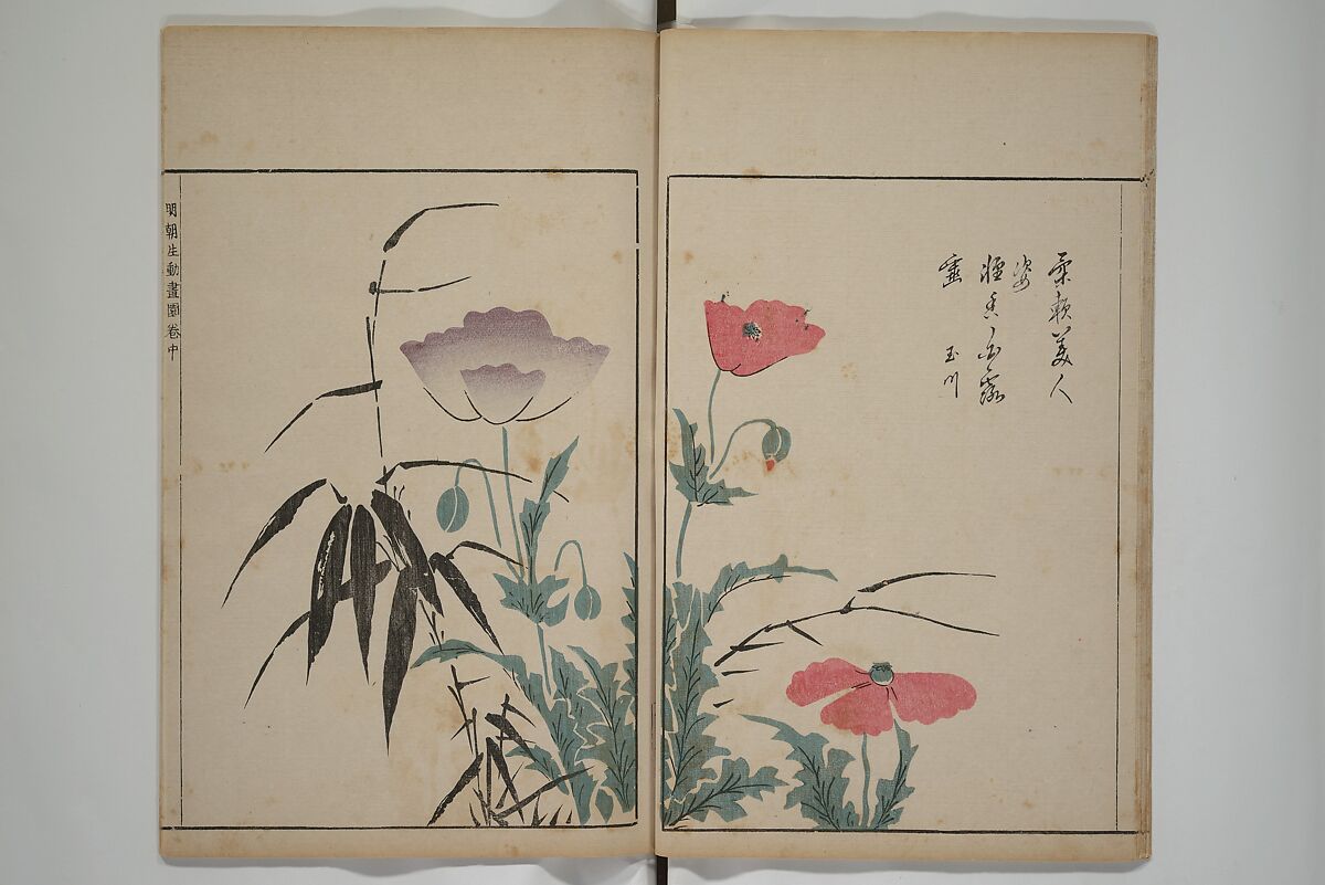 A Collection of Lively Sketches [Of Flowers and Insects] of the Ming Dynasty (Minchō shiken) 明朝紫硯, Ooka Shunboku 大岡春卜 (1680–1763), Set of three woodblock printed books; ink and color on paper, Japan