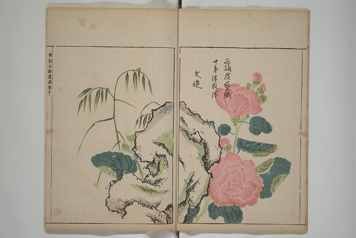 A Collection of Lively Sketches [Of Flowers and Insects] of the Ming Dynasty (Minchō shiken) 明朝紫硯, Ooka Shunboku 大岡春卜 (1680–1763), Set of three woodblock printed books; ink and color on paper, Japan