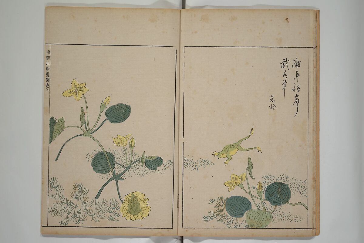 A Collection of Lively Sketches [Of Flowers and Insects] of the Ming Dynasty (Minchō shiken) 明朝紫硯, Ooka Shunboku 大岡春卜 (1680–1763), Set of three woodblock printed books; ink and color on paper, Japan