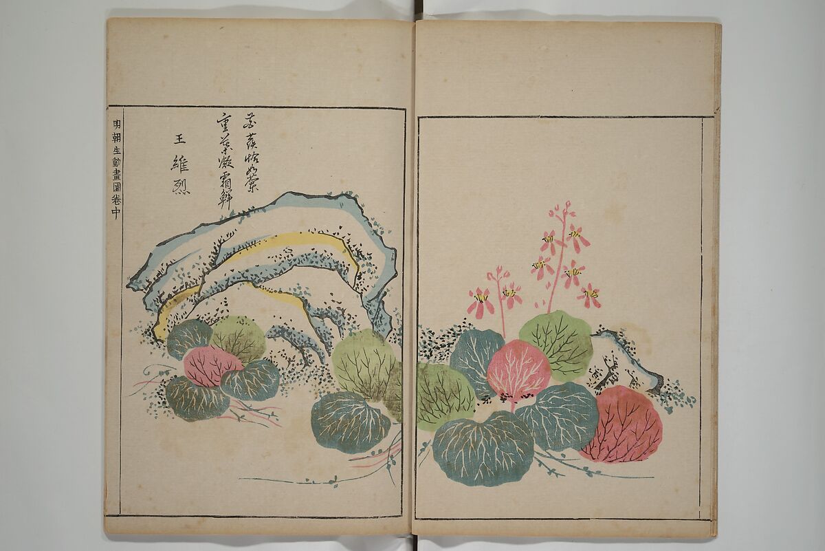 A Collection of Lively Sketches [Of Flowers and Insects] of the Ming Dynasty (Minchō shiken) 明朝紫硯, Ooka Shunboku 大岡春卜 (1680–1763), Set of three woodblock printed books; ink and color on paper, Japan
