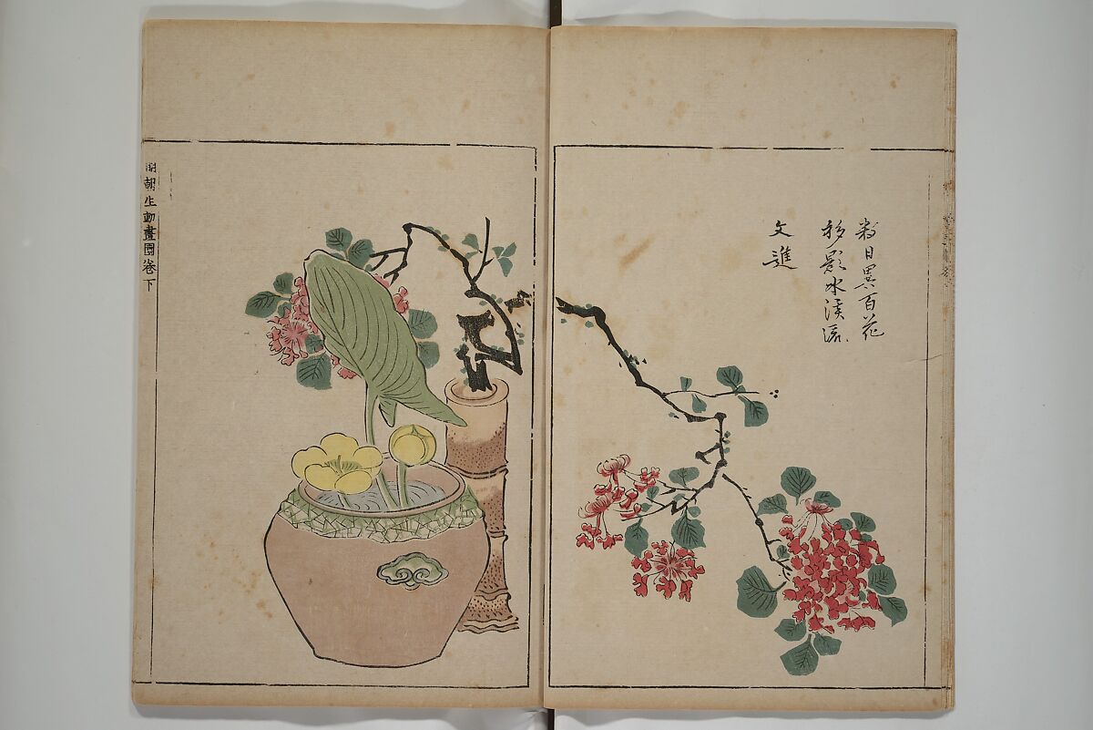 A Collection of Lively Sketches [Of Flowers and Insects] of the Ming Dynasty (Minchō shiken) 明朝紫硯, Ooka Shunboku 大岡春卜 (1680–1763), Set of three woodblock printed books; ink and color on paper, Japan