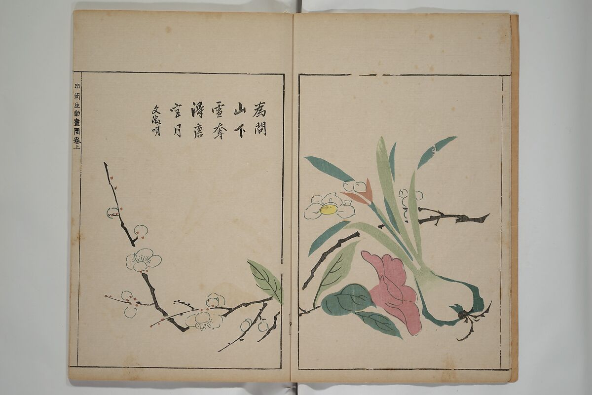 A Collection of Lively Sketches [Of Flowers and Insects] of the Ming Dynasty (Minchō shiken) 明朝紫硯, Ooka Shunboku 大岡春卜 (1680–1763), Set of three woodblock printed books; ink and color on paper, Japan