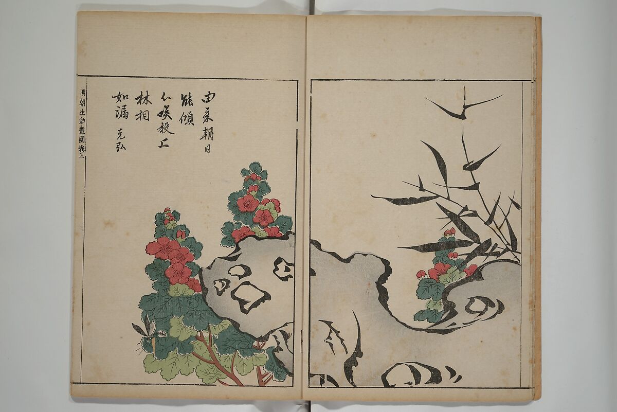 A Collection of Lively Sketches [Of Flowers and Insects] of the Ming Dynasty (Minchō shiken) 明朝紫硯, Ooka Shunboku 大岡春卜 (1680–1763), Set of three woodblock printed books; ink and color on paper, Japan