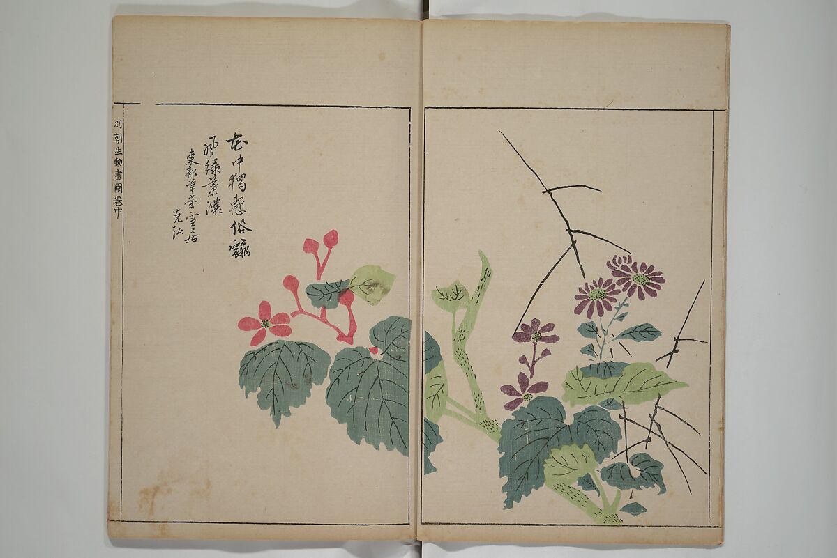A Collection of Lively Sketches [Of Flowers and Insects] of the Ming Dynasty (Minchō shiken) 明朝紫硯, Ooka Shunboku 大岡春卜 (1680–1763), Set of three woodblock printed books; ink and color on paper, Japan