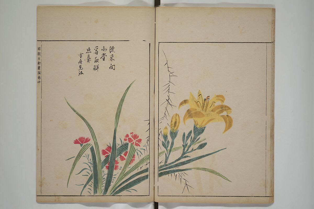A Collection of Lively Sketches [Of Flowers and Insects] of the Ming Dynasty (Minchō shiken) 明朝紫硯, Ooka Shunboku 大岡春卜 (1680–1763), Set of three woodblock printed books; ink and color on paper, Japan