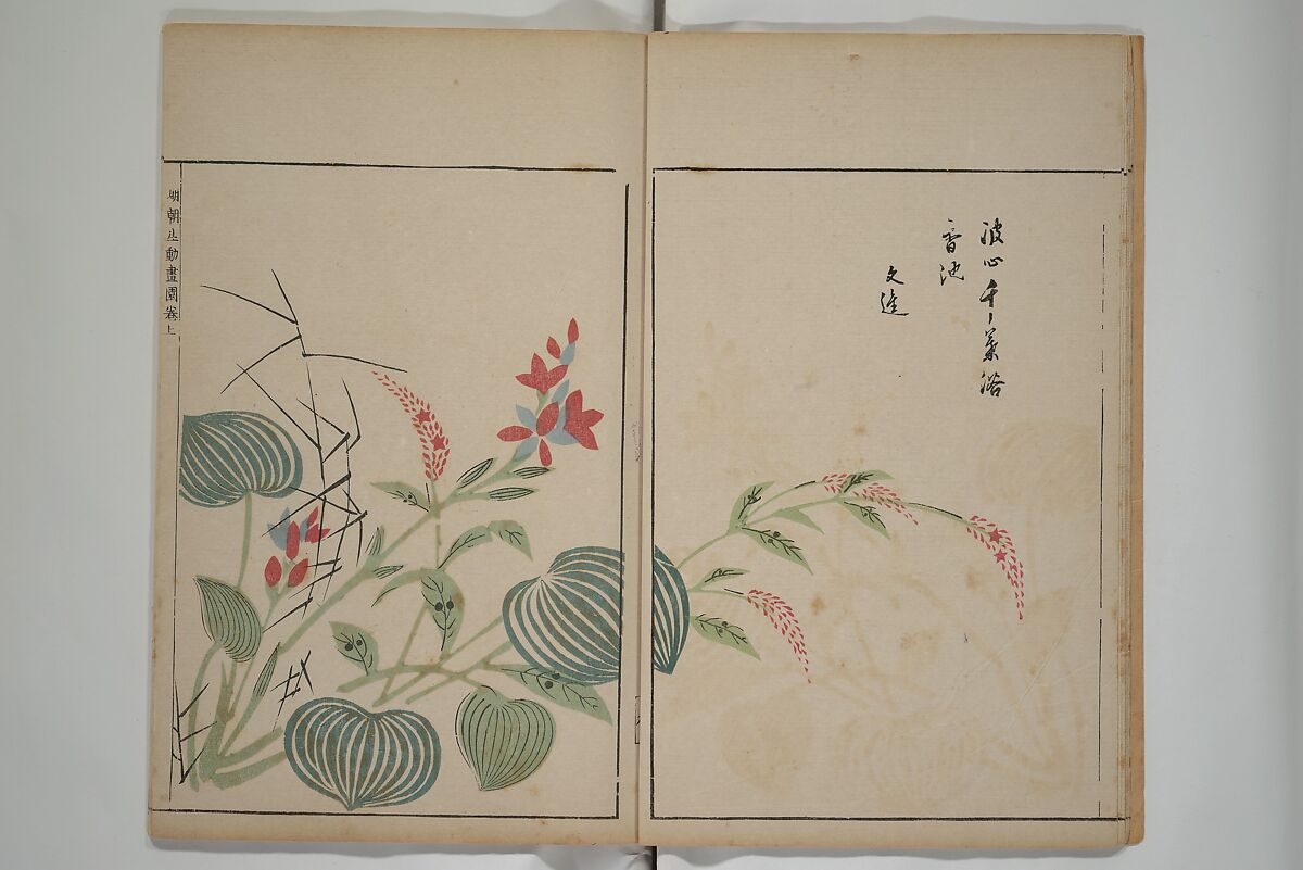 A Collection of Lively Sketches [Of Flowers and Insects] of the Ming Dynasty (Minchō shiken) 明朝紫硯, Ooka Shunboku 大岡春卜 (1680–1763), Set of three woodblock printed books; ink and color on paper, Japan