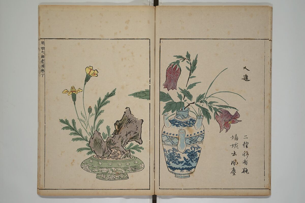 A Collection of Lively Sketches [Of Flowers and Insects] of the Ming Dynasty (Minchō shiken) 明朝紫硯, Ooka Shunboku 大岡春卜 (1680–1763), Set of three woodblock printed books; ink and color on paper, Japan