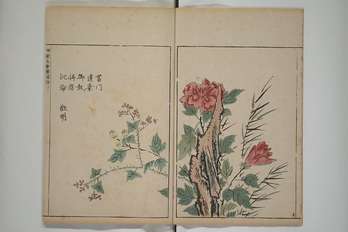 A Collection of Lively Sketches [Of Flowers and Insects] of the Ming Dynasty (Minchō shiken) 明朝紫硯, Ooka Shunboku 大岡春卜 (1680–1763), Set of three woodblock printed books; ink and color on paper, Japan