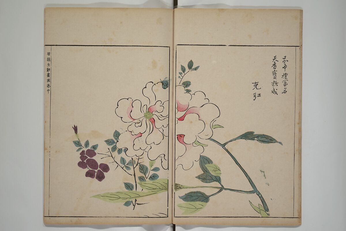 A Collection of Lively Sketches [Of Flowers and Insects] of the Ming Dynasty (Minchō shiken) 明朝紫硯, Ooka Shunboku 大岡春卜 (1680–1763), Set of three woodblock printed books; ink and color on paper, Japan
