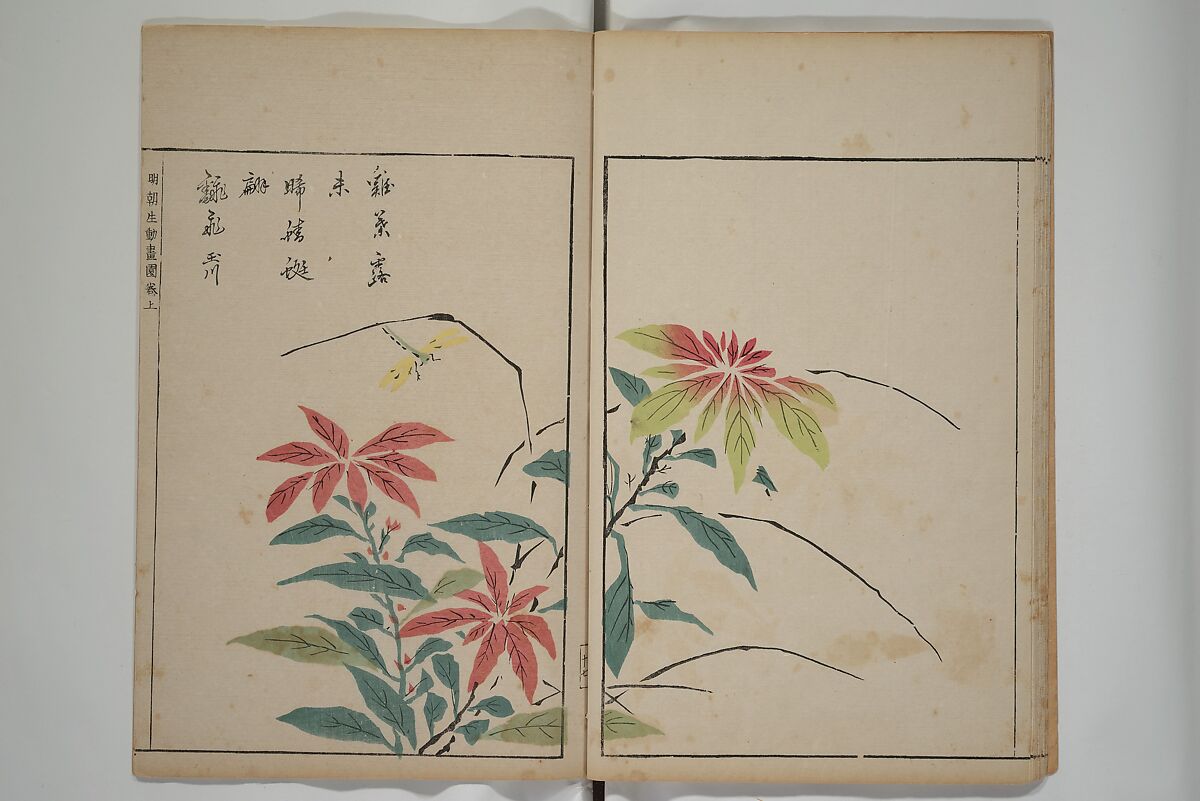 A Collection of Lively Sketches [Of Flowers and Insects] of the Ming Dynasty (Minchō shiken) 明朝紫硯, Ooka Shunboku 大岡春卜 (1680–1763), Set of three woodblock printed books; ink and color on paper, Japan