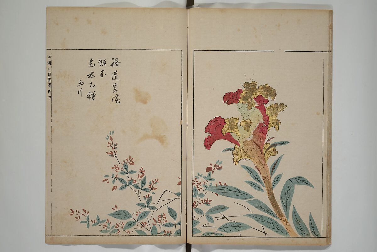 A Collection of Lively Sketches [Of Flowers and Insects] of the Ming Dynasty (Minchō shiken) 明朝紫硯, Ooka Shunboku 大岡春卜 (1680–1763), Set of three woodblock printed books; ink and color on paper, Japan