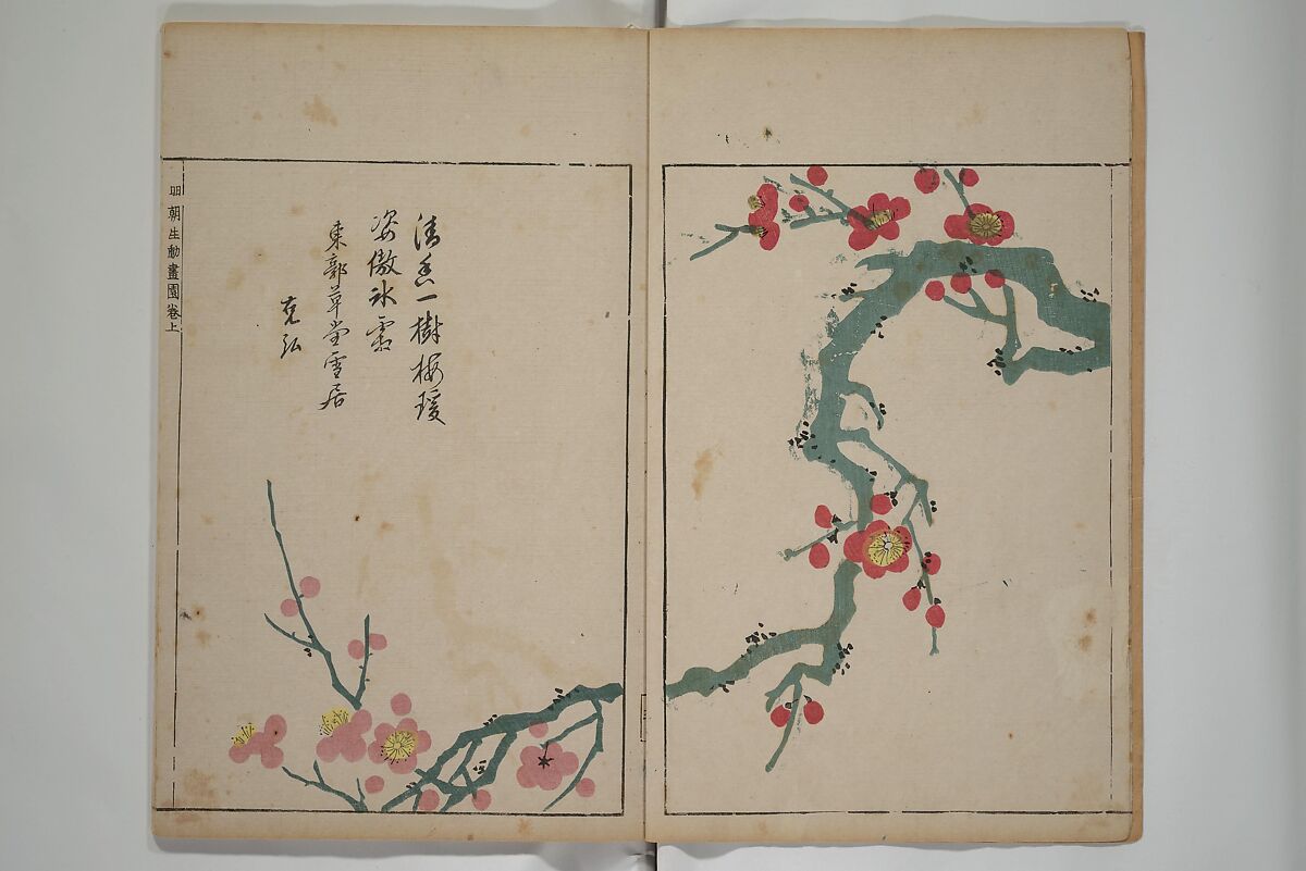 A Collection of Lively Sketches [Of Flowers and Insects] of the Ming Dynasty (Minchō shiken) 明朝紫硯, Ooka Shunboku 大岡春卜 (1680–1763), Set of three woodblock printed books; ink and color on paper, Japan 