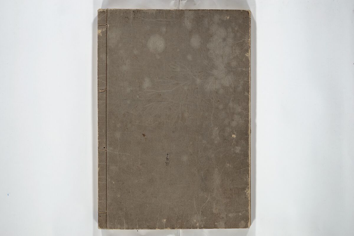 Famous Places in Owari (Meiku shōkei shohen ) 名区小景　初編之下, Katsukawa Shunkō 勝川春好 (Japanese, 1743–1812), Set of four woodblock printed books; ink and color on paper, Japan