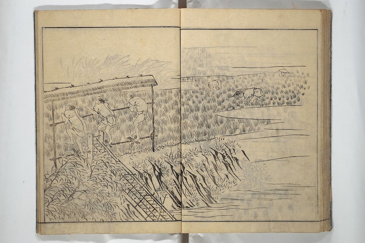 People of Yamato (Japan) Picture Album (Yamato jinbutsu gafu) Second series 倭人物画譜 後編, Yamaguchi Soken 山口素絢 (Japanese, 1759–1818), Woodblock printed book; ink on paper, Japan