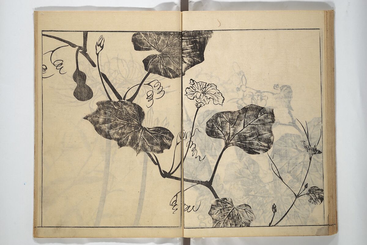 Soken Picture Album: The Plant Section (Soken gafu: Sōka no bu)  素絢画譜 草花之部, Yamaguchi Soken 山口素絢 (Japanese, 1759–1818), Woodblock printed book; ink on paper, Japan