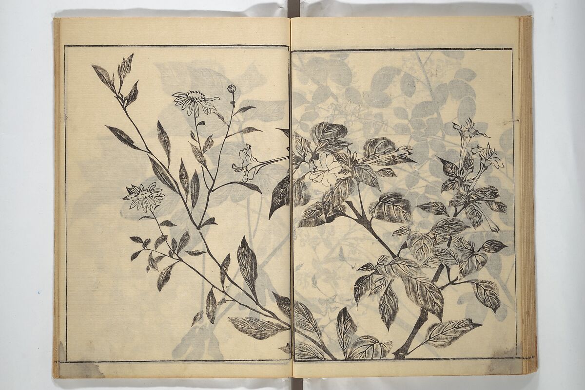 Soken Picture Album: The Plant Section (Soken gafu: Sōka no bu)  素絢画譜 草花之部, Yamaguchi Soken 山口素絢 (Japanese, 1759–1818), Woodblock printed book; ink on paper, Japan