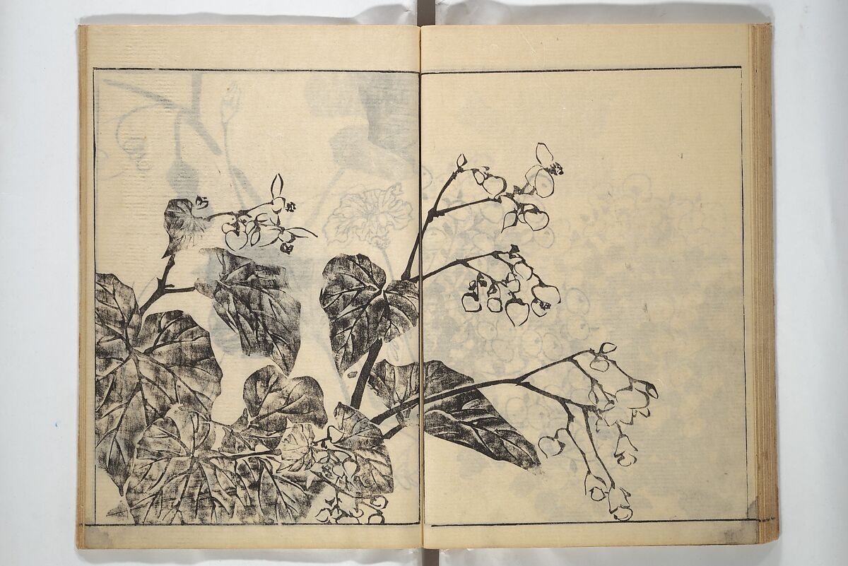 Soken Picture Album: The Plant Section (Soken gafu: Sōka no bu)  素絢画譜 草花之部, Yamaguchi Soken 山口素絢 (Japanese, 1759–1818), Woodblock printed book; ink on paper, Japan