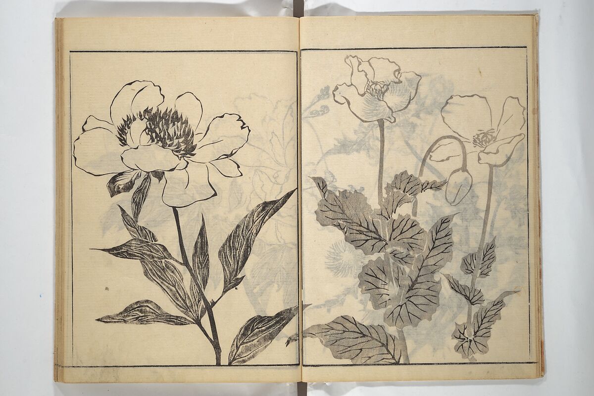 Soken Picture Album: The Plant Section (Soken gafu: Sōka no bu)  素絢画譜 草花之部, Yamaguchi Soken 山口素絢 (Japanese, 1759–1818), Woodblock printed book; ink on paper, Japan