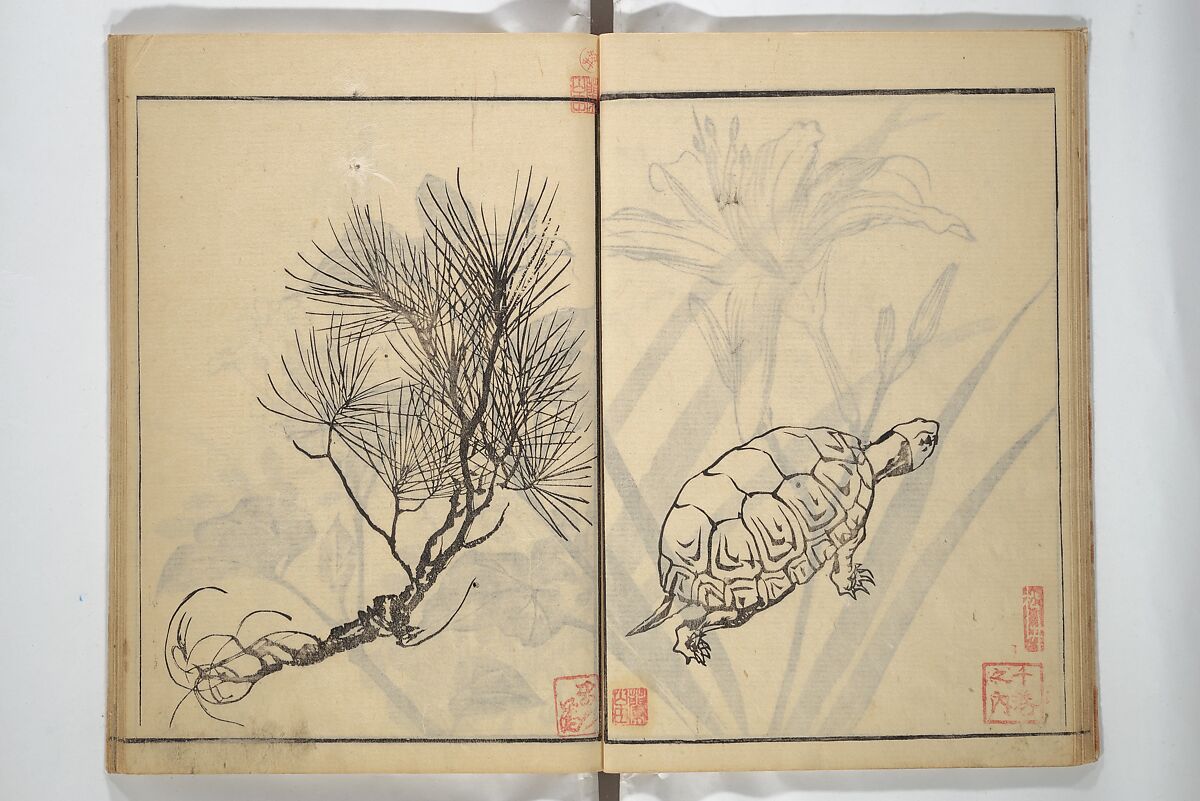 Soken Picture Album: The Plant Section (Soken gafu: Sōka no bu)  素絢画譜 草花之部, Yamaguchi Soken 山口素絢 (Japanese, 1759–1818), Woodblock printed book; ink on paper, Japan