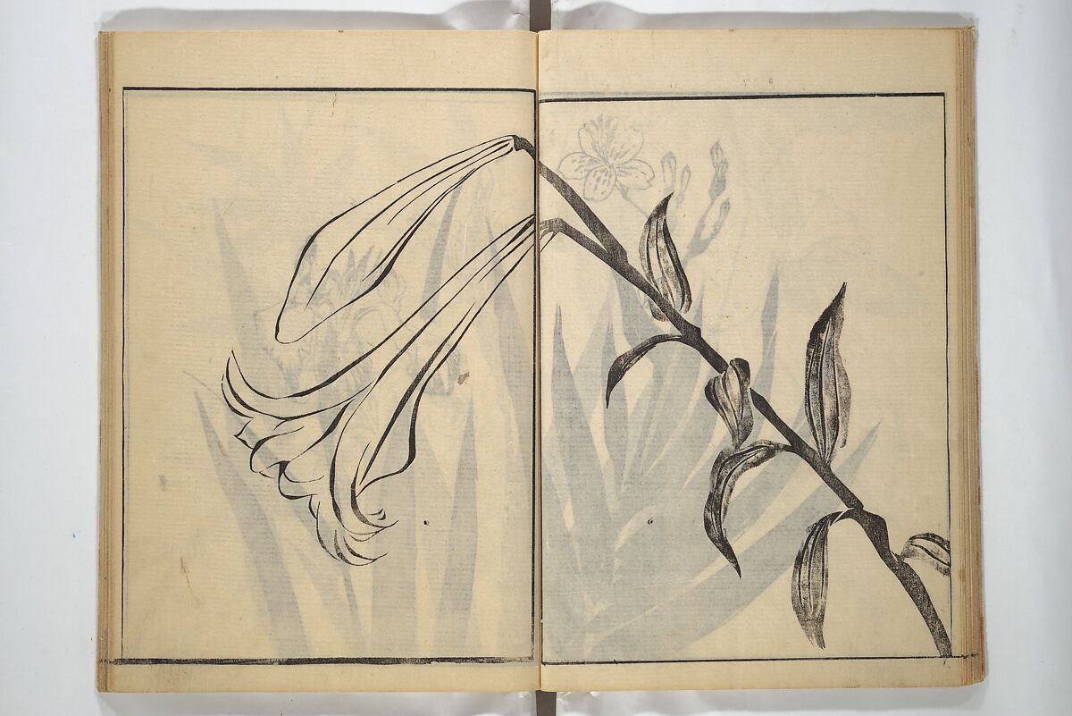 Soken Picture Album: The Plant Section (Soken gafu: Sōka no bu)  素絢画譜 草花之部, Yamaguchi Soken 山口素絢 (Japanese, 1759–1818), Woodblock printed book; ink on paper, Japan