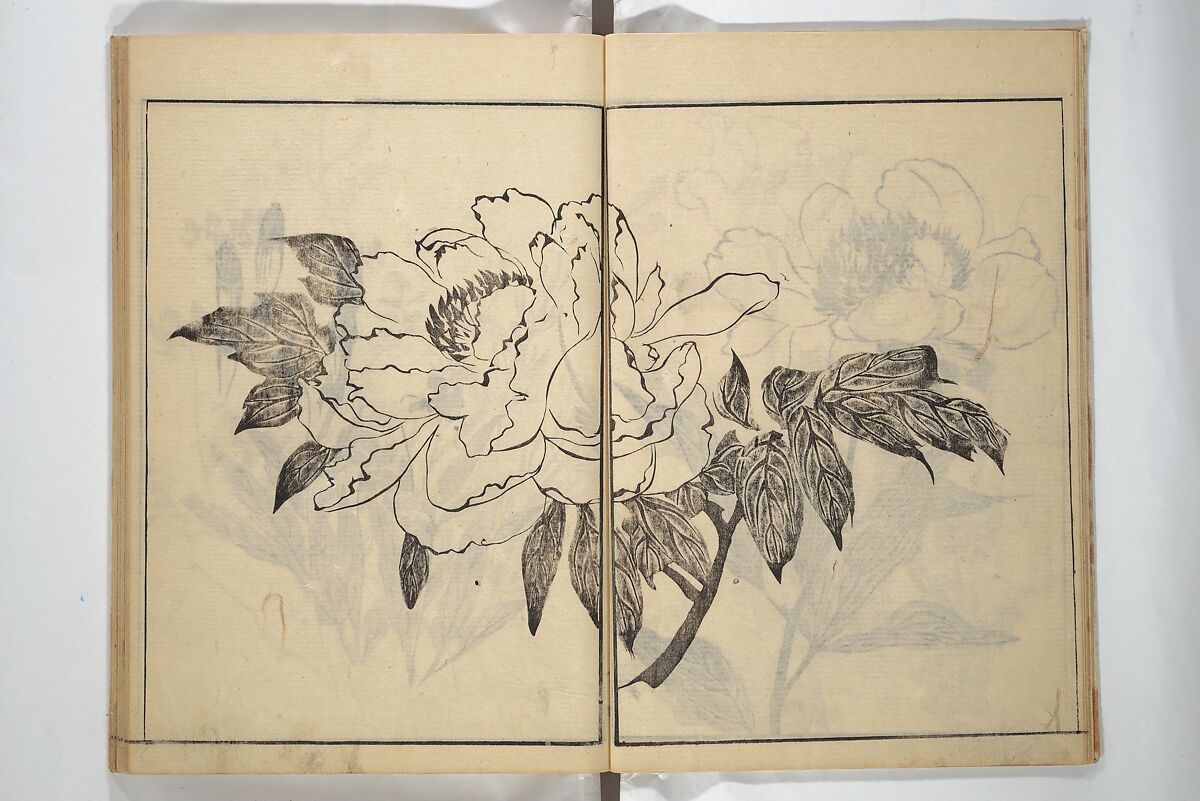 Soken Picture Album: The Plant Section (Soken gafu: Sōka no bu)  素絢画譜 草花之部, Yamaguchi Soken 山口素絢 (Japanese, 1759–1818), Woodblock printed book; ink on paper, Japan